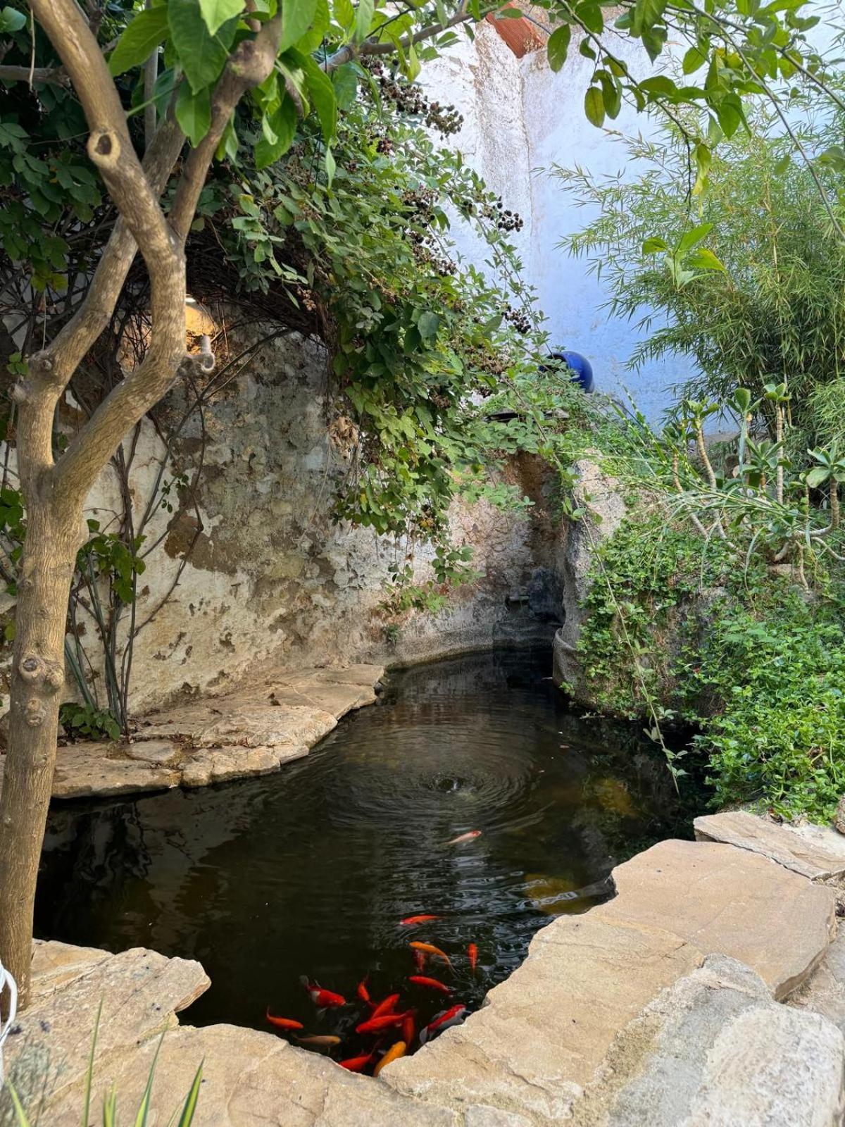 Vila Despertar Antequera Exteriér fotografie
